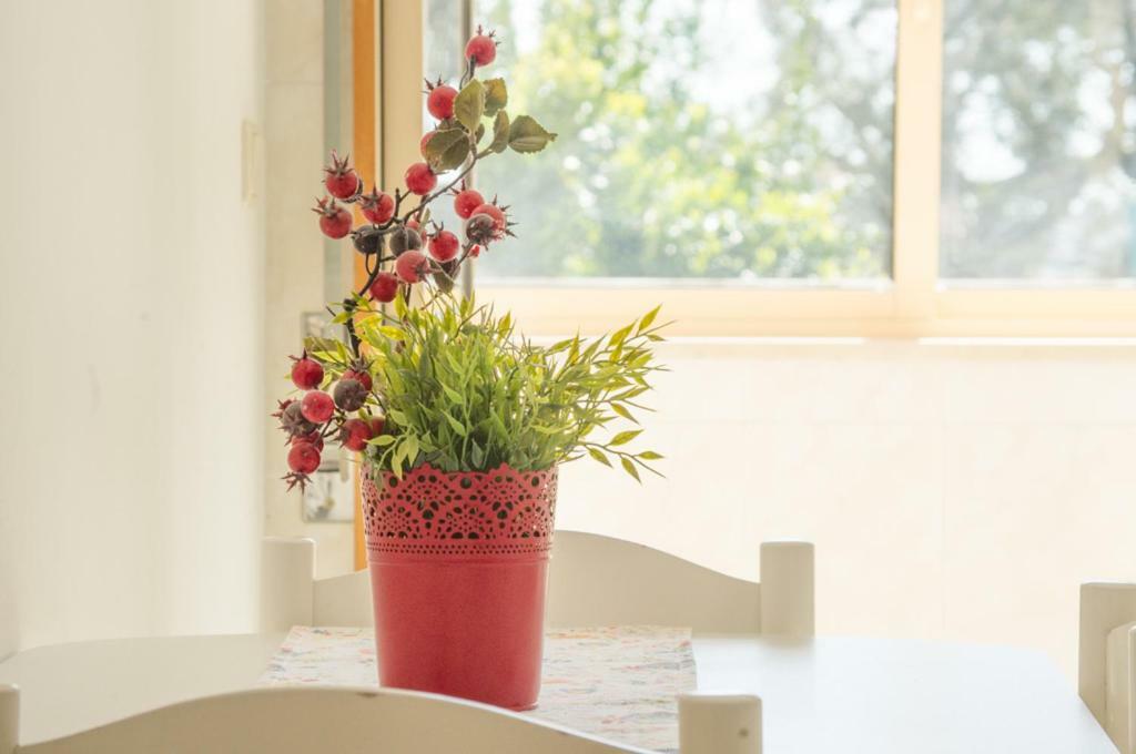 Terrace Porto Downtown Apartman Kültér fotó