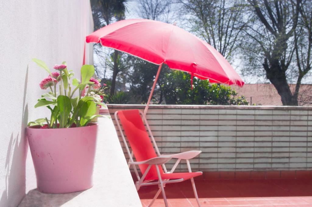 Terrace Porto Downtown Apartman Kültér fotó