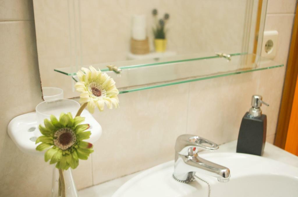 Terrace Porto Downtown Apartman Kültér fotó